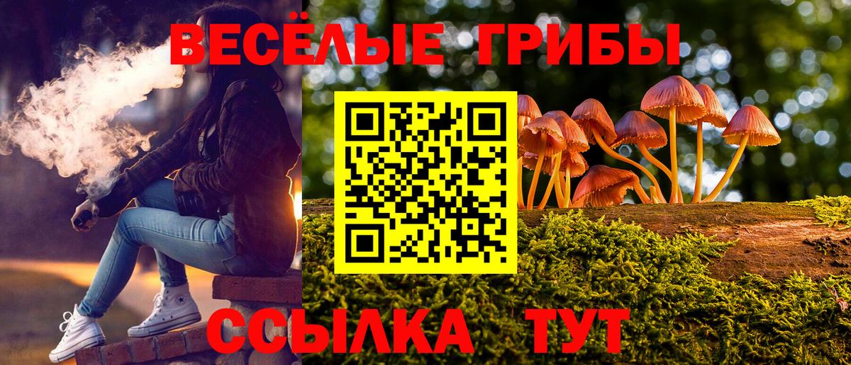 Галлюциногенные грибы мухоморы  Вход с VPN  Псилоцибиновые грибы мицелий  Прокопьевск 