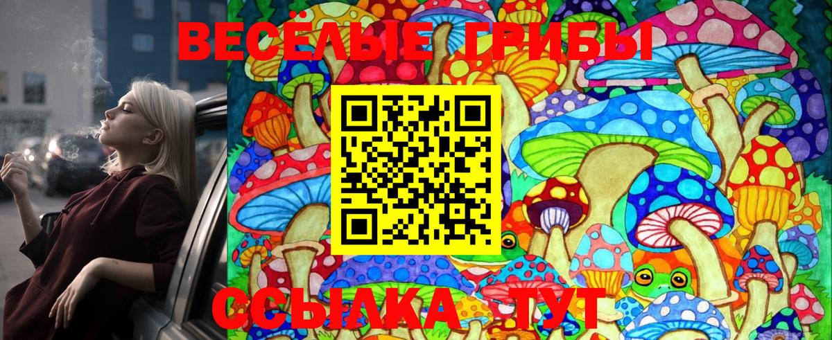 Галлюциногенные грибы Psilocybe Прокопьевск